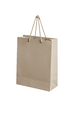 WHITE PAPER BAG 2