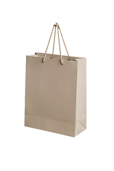 WHITE PAPER BAG 2
