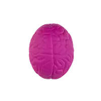 Antiestres Cerebro
