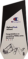 CHAMPION 2 IN 1 CUSTOM CUTOUT TROPHY