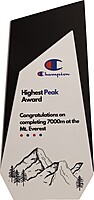 CHAMPION 2 IN 1 CUSTOM CUTOUT TROPHY