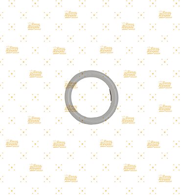 MC/ALL/O-RING/ (NORMAL)