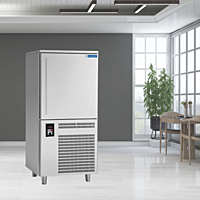 Energy-efficient Blue Star BF15G Blast Freezer with eco-friendly refrigerant.