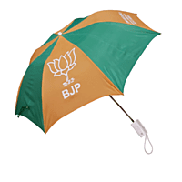 2 Fold Umbrella - 21 Inches