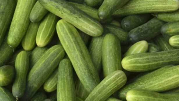 தோசைக்காய் உருட்டு வெள்ளரி