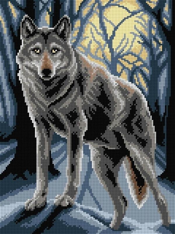 Wolf in the dark