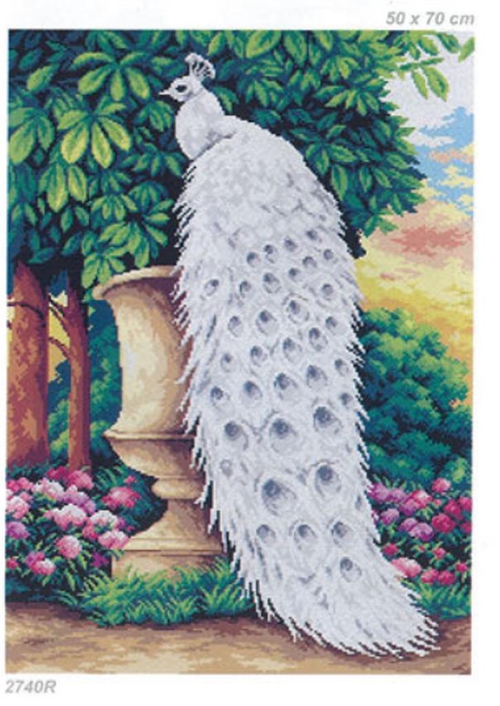 White Peacock