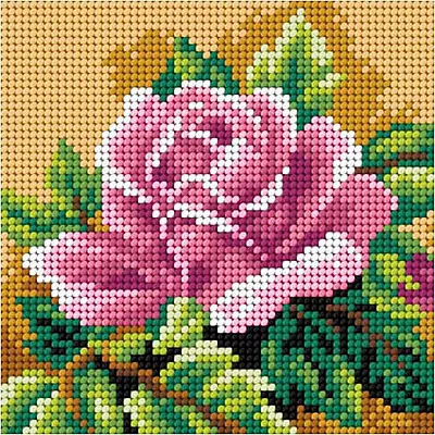 Rosa by Orchidea Collection
