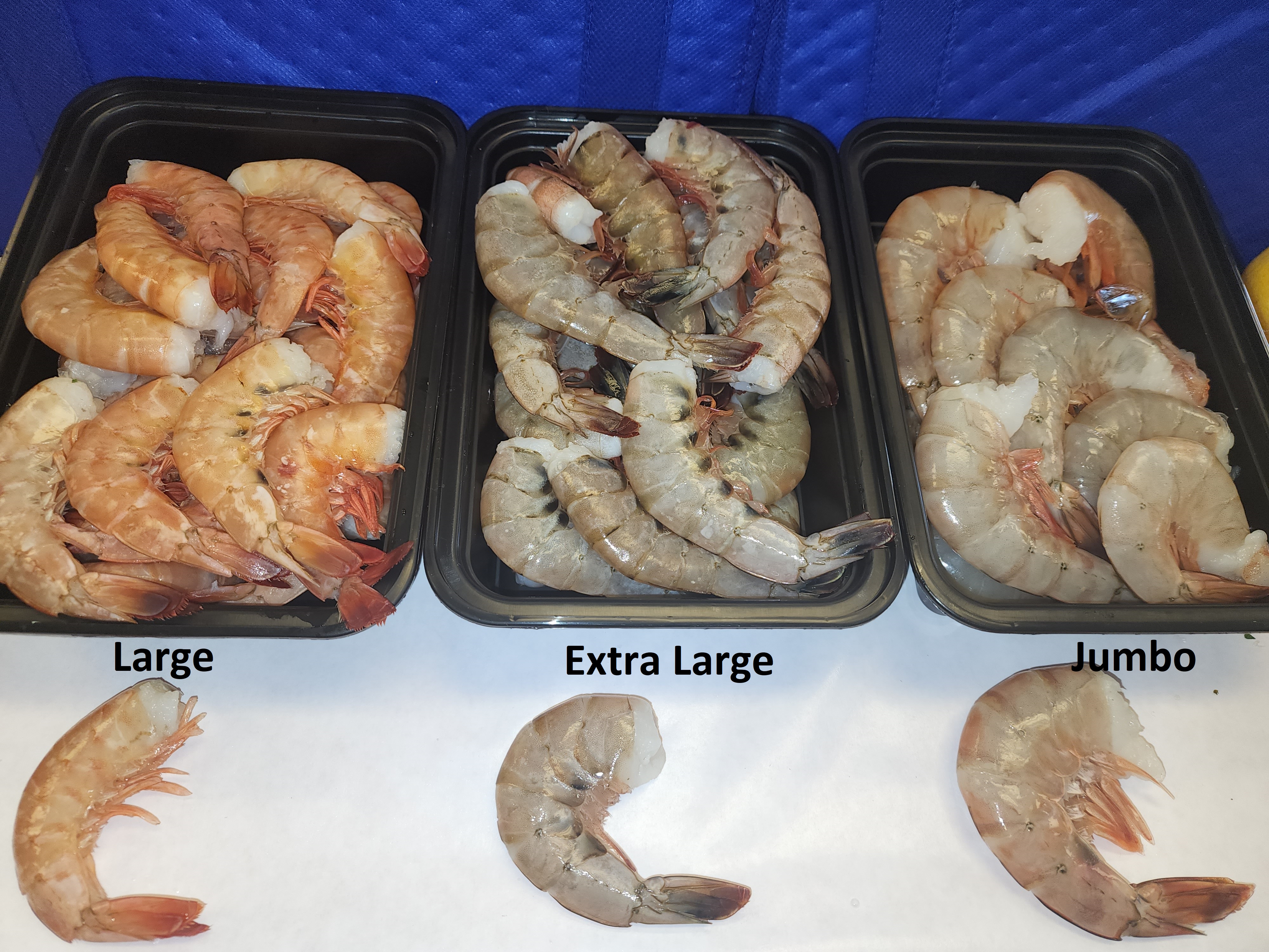 Extra Large Shrimp (Raw)