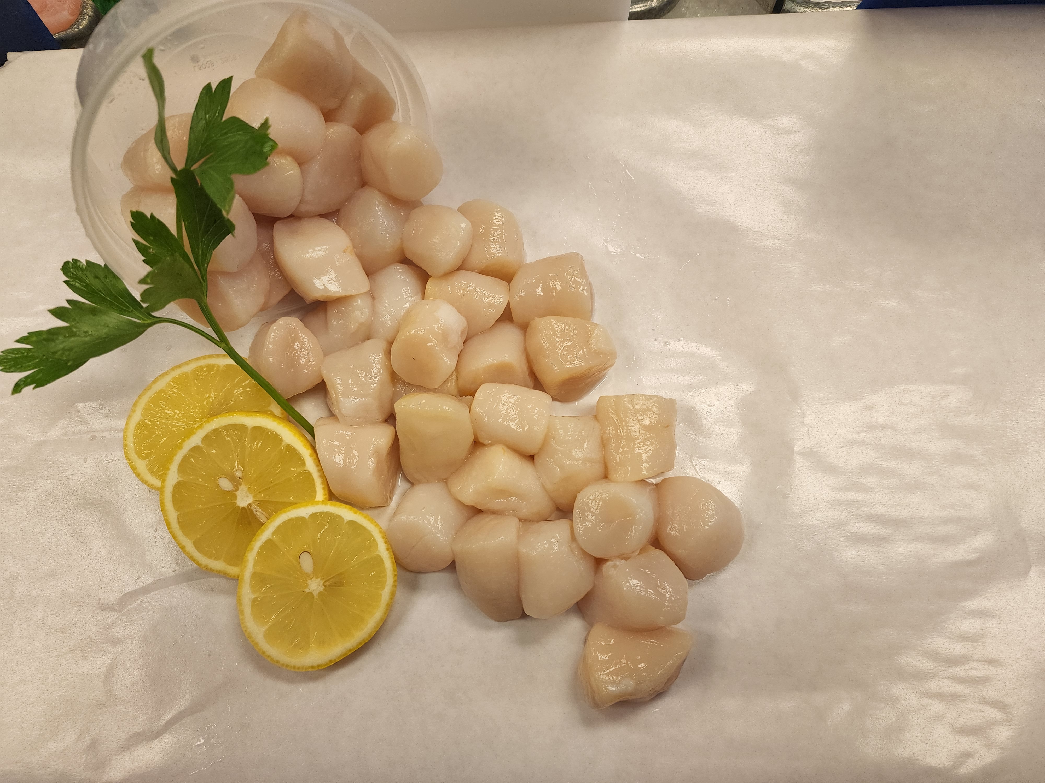 Bay Scallops