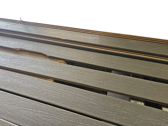 TREX Clam Shell Bundle (Enhance Basics) TREX Clam Shell Bundle (Enhance Basics)