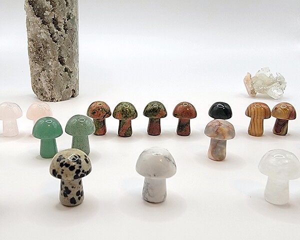 Mini Mushroom Carvings