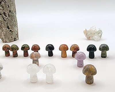 Mini Mushroom Carvings
