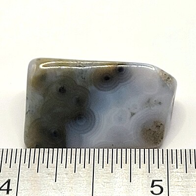 Ocean Jasper Tumbles