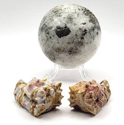 Mookaite Dragon Heads