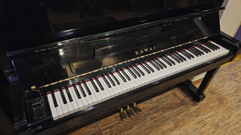 Kawai BL-12