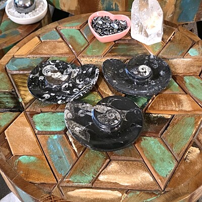 Ammonite-Shaped Fossil Plates Ammonite-Shaped Fossil Plates