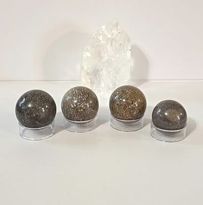 Dinosaur Bone Spheres