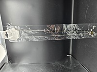 Frog Paua Shell Pendant Necklace