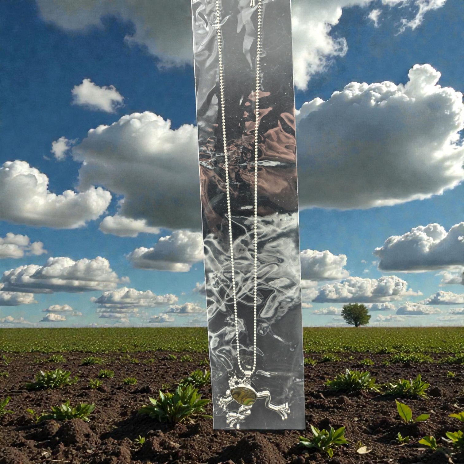 Frog Paua Shell Pendant Necklace