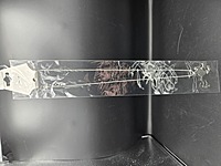 Frog Paua Shell Pendant Necklace