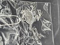 Frog Paua Shell Pendant Necklace