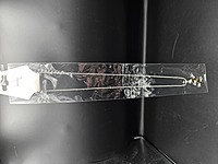 Paua Shell Lizard Necklace