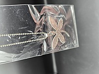 Dragonfly Paua Shell Pendant Necklace