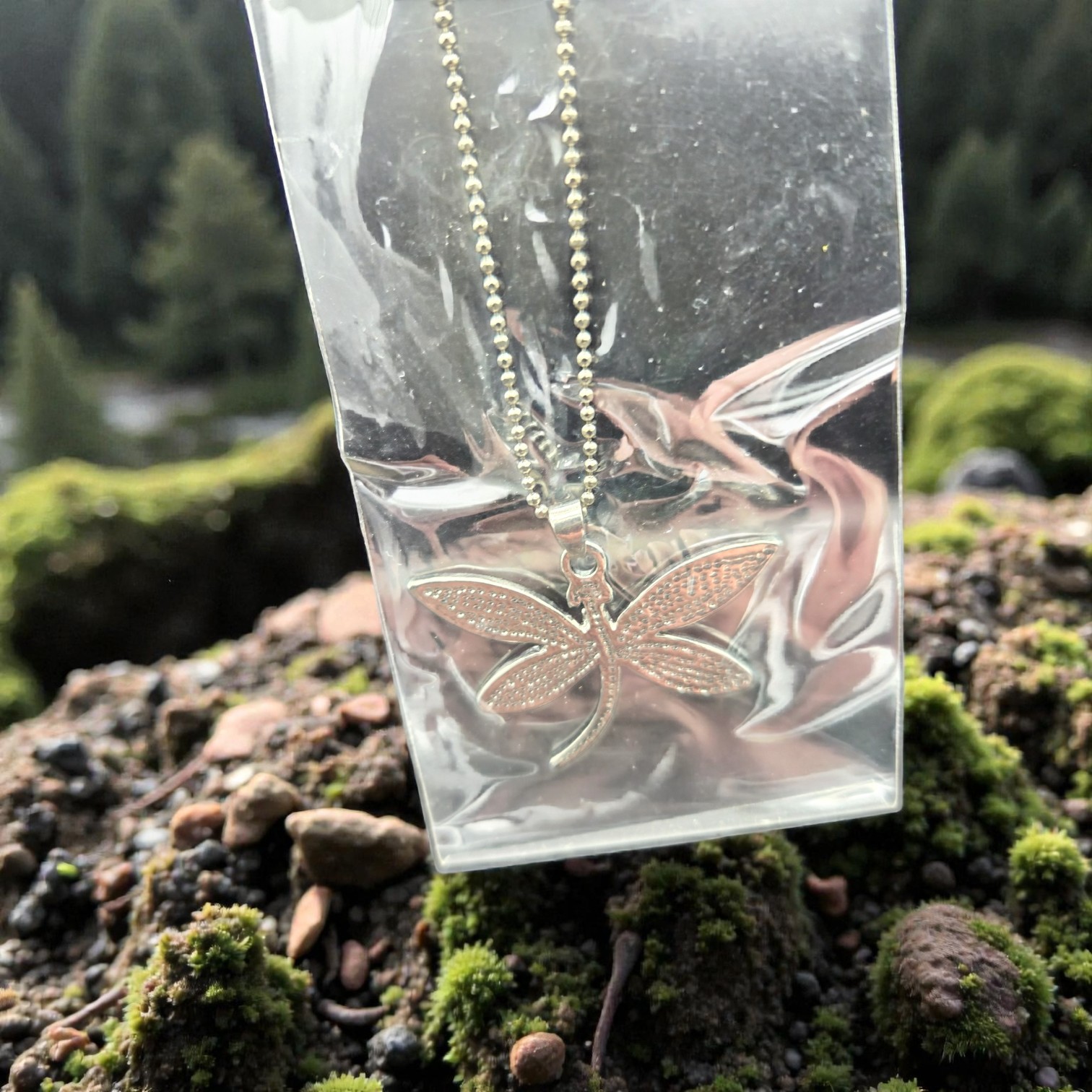 Dragonfly Paua Shell Pendant Necklace
