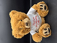 Thank You for Tolerating Me Teddy Bear