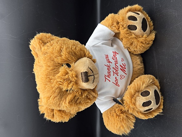 Thank You for Tolerating Me Teddy Bear