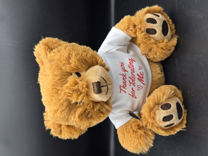 Thank You for Tolerating Me Teddy Bear