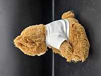 Thank You for Tolerating Me Teddy Bear