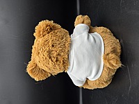 Thank You for Tolerating Me Teddy Bear