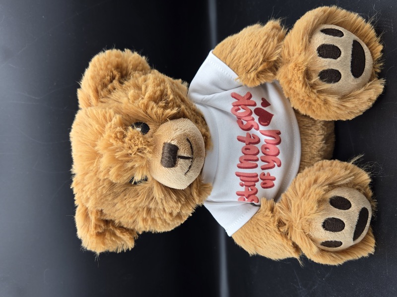 Still Not Sick of You Teddy Bear