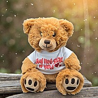 Still Not Sick of You Teddy Bear