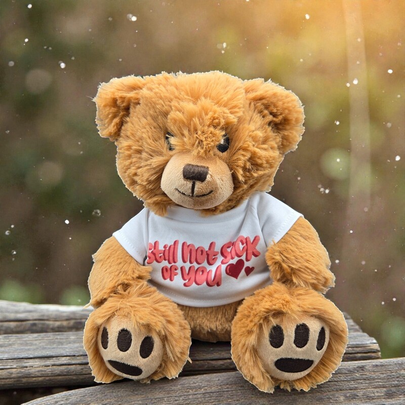 Still Not Sick of You Teddy Bear