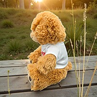 Still Not Sick of You Teddy Bear