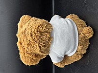 Still Not Sick of You Teddy Bear