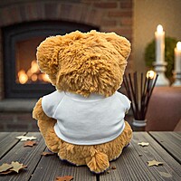 Still Not Sick of You Teddy Bear