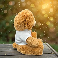 Still Not Sick of You Teddy Bear