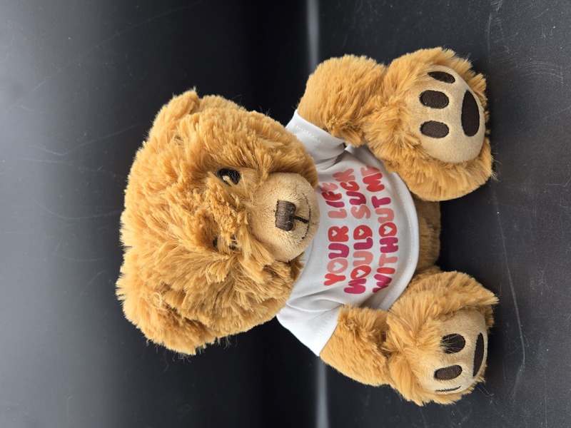 Your Life Would Suck Without Me Teddy Bear
