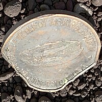 Vintage 1973 Worldwide Black Expo Commemorative Coin, RFK Stadium