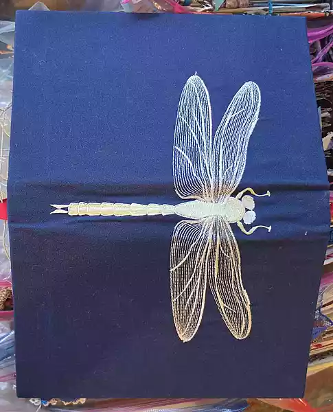 J004 Navy Dragonfly