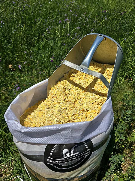 Rolled Corn.