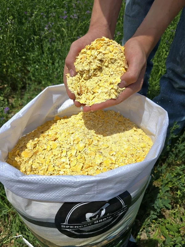 Rolled Corn.