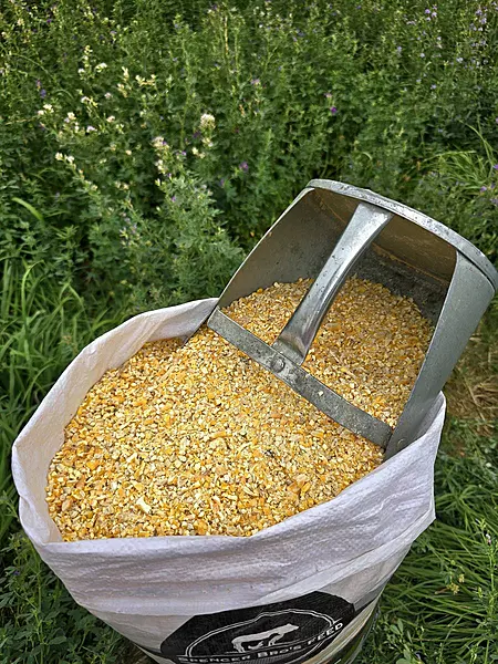 Cracked Corn.