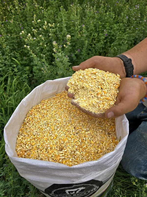 Cracked Corn.