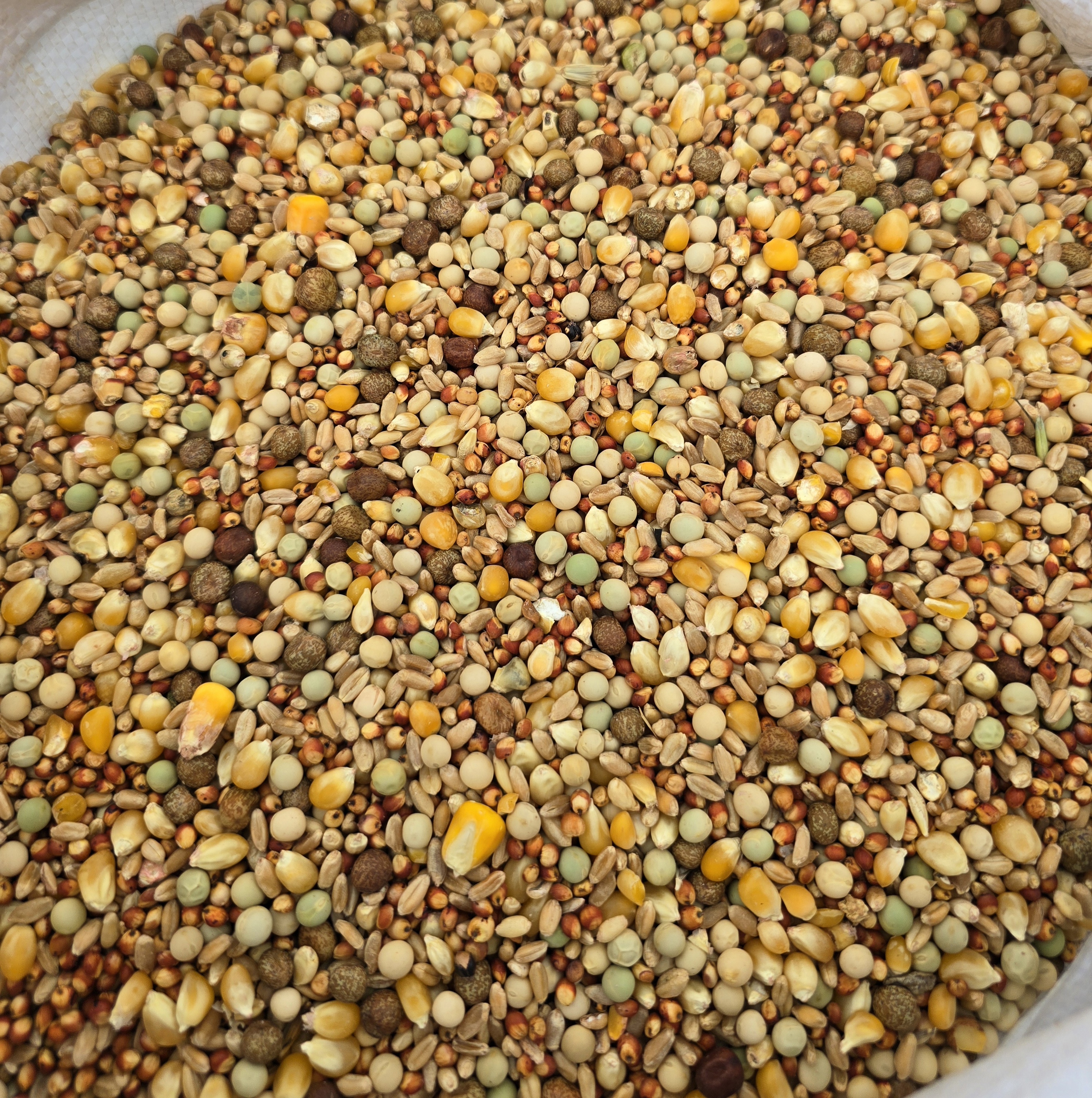 12% Pigeon Blend