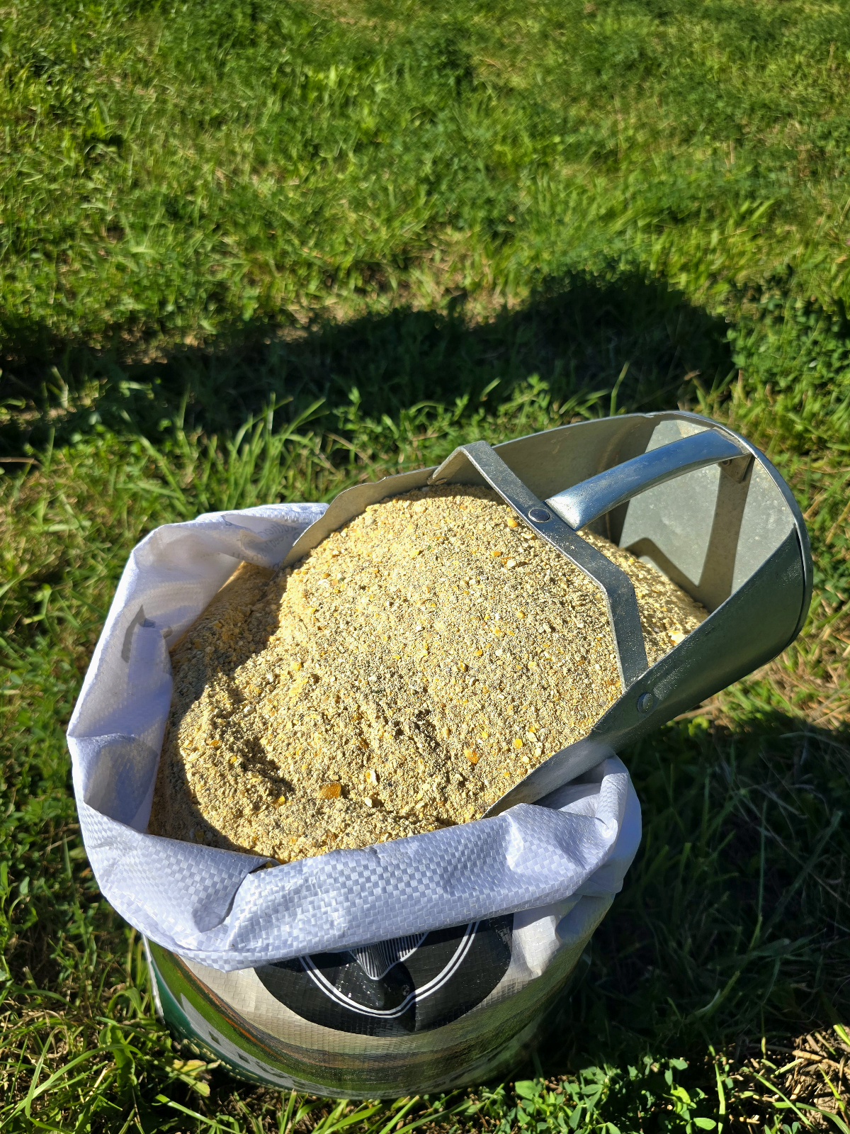 16% Layer Mash.